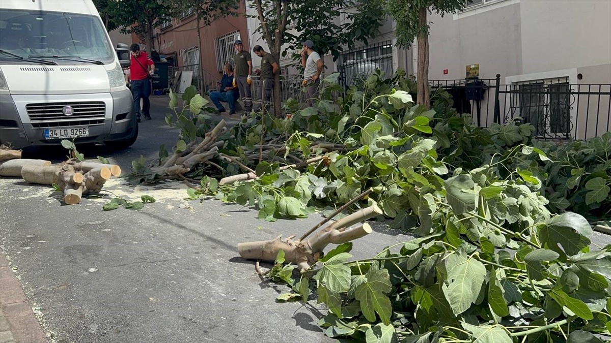 İstanbul'da etkisini sürdüren fırtına nedeniyle Bakırköy, Bağcılar ve Şişli'de ağaçlar devrildi....
