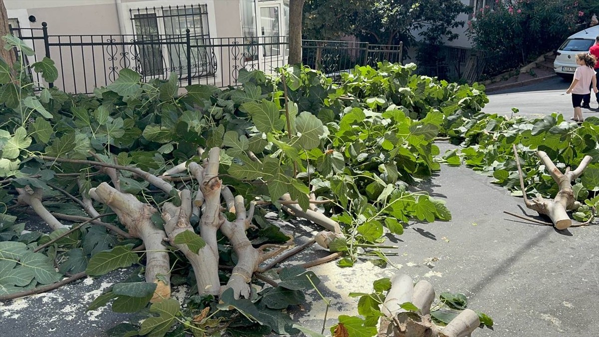 İstanbul'da etkisini sürdüren fırtına nedeniyle Bakırköy, Bağcılar ve Şişli'de ağaçlar devrildi....