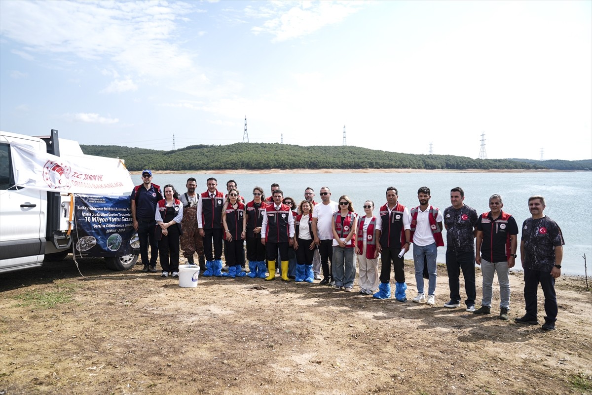 İstanbul İl Tarım ve Orman Müdürlüğü tarafından 9 ilçedeki 23 gölete toplam 3 milyon 700 bin sazan...