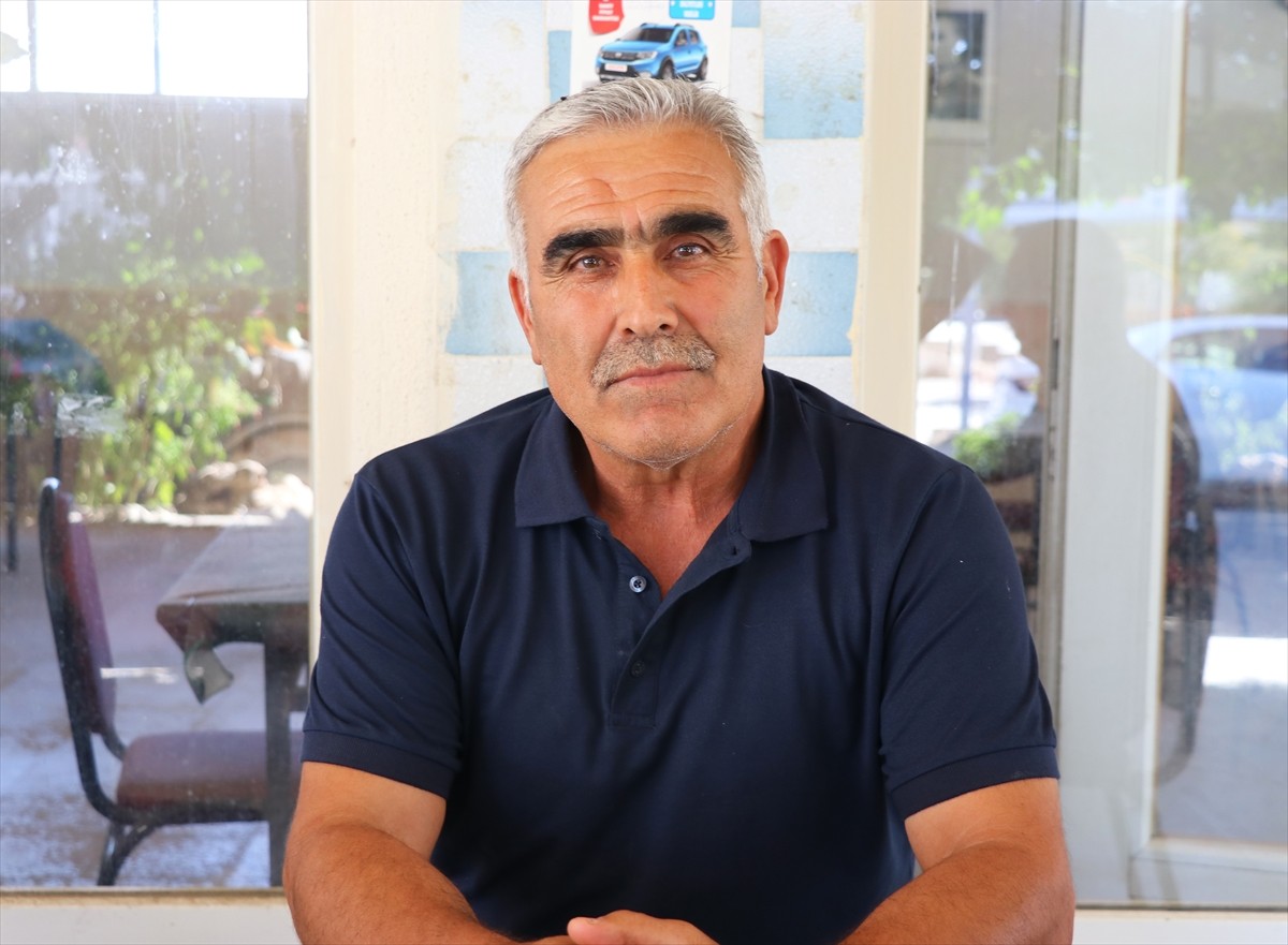 İzmir'de sahipsiz köpeklerden kaçarken otomobilin çarptığı kadın, tedavi gördüğü hastanede...