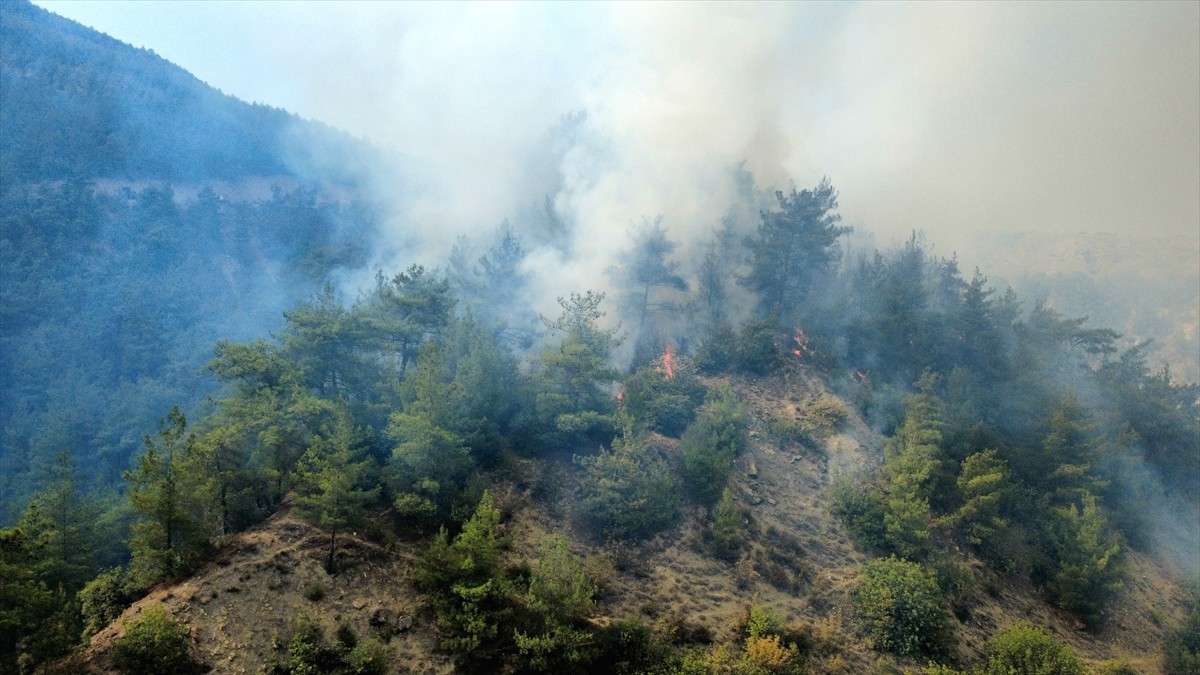 Karabük'te çıkan orman yangınını söndürmek için çalışma başlatıldı.
