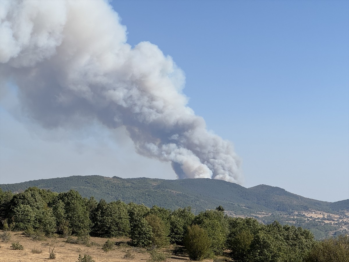 Karabük'te ormanlık alanda çıkan yangını söndürmek için çalışma başlatıldı.