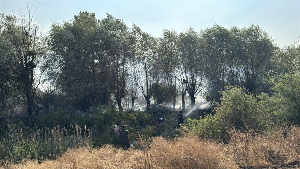 Karabük'ün Eskipazar ilçesinde çıkan anız yangını söndürüldü. Ekiplerin ve vatandaşların çalışması...