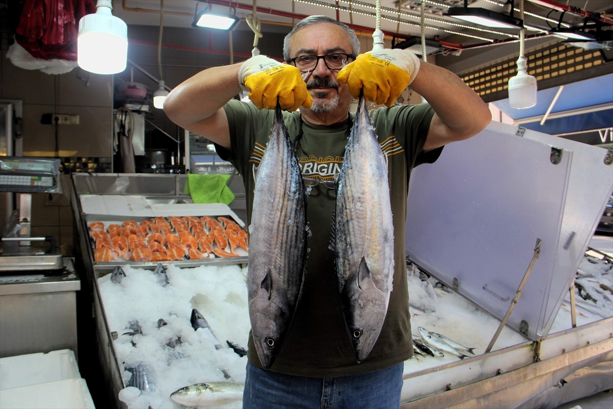 Karadeniz'de, 12 metrenin altındaki balıkçı tekneleri için av yasağının 15 Ağustos'ta sona...