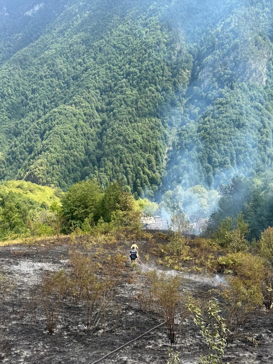 Kastamonu'nun Çatalzeytin ilçesinde bir evde çıkarak ormanlık alana sıçrayan yangın...