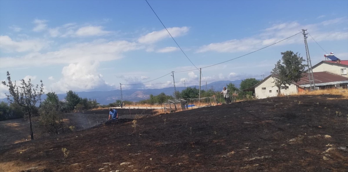 Kastamonu'nun Hanönü ilçesinde çıkan orman yangını kontrol altına alındı.