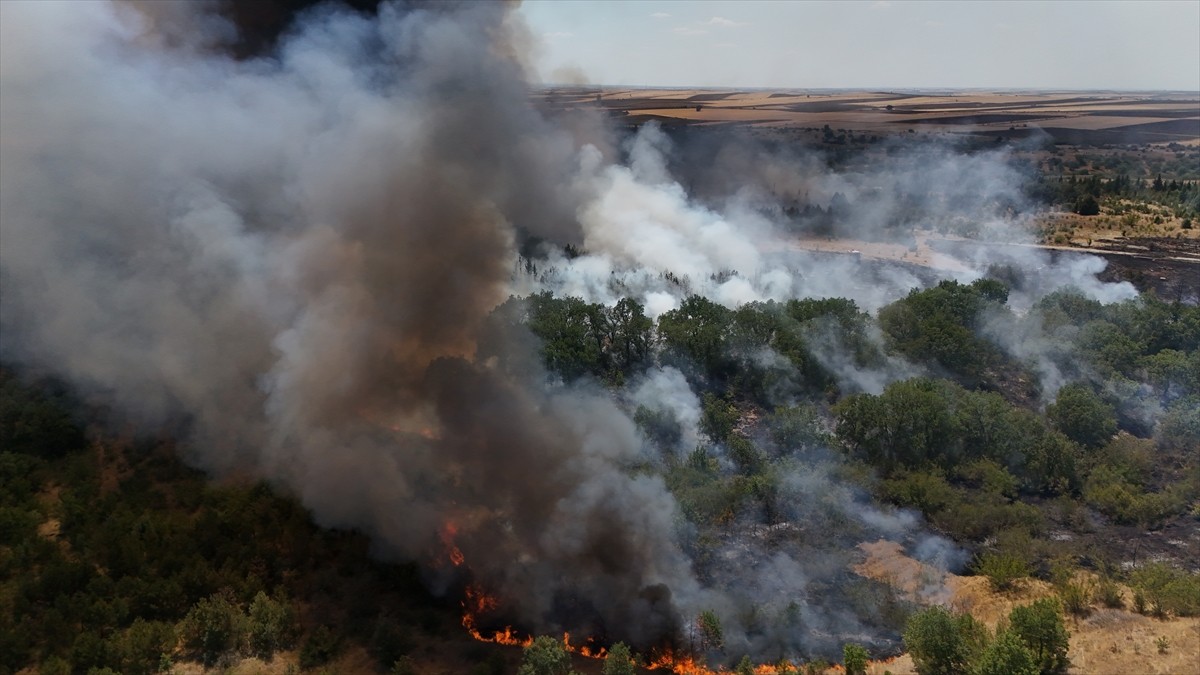 Kırklareli'nin Babaeski ilçesinde ağaçlık alanda çıkan yangın nedeniyle Avrupa Otoyolu trafiğe...
