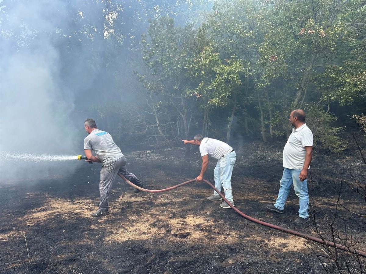 Kırklareli'nin Demirköy ilçesine bağlı İğneada beldesinde çıkan orman yangını ekiplerin...