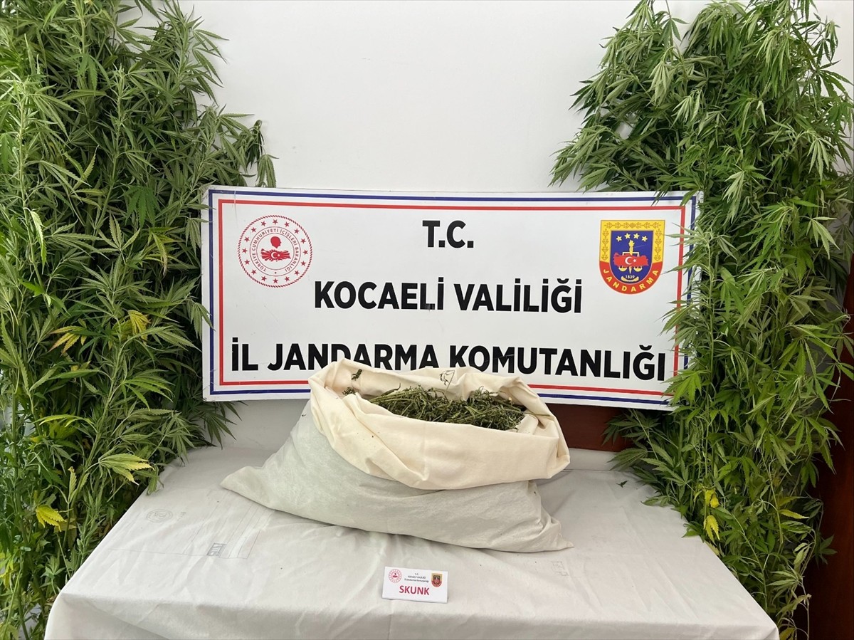 Kocaeli'de düzenlenen uyuşturucu operasyonunda gözaltına alınan 3 şüpheliden 2'si tutuklandı....