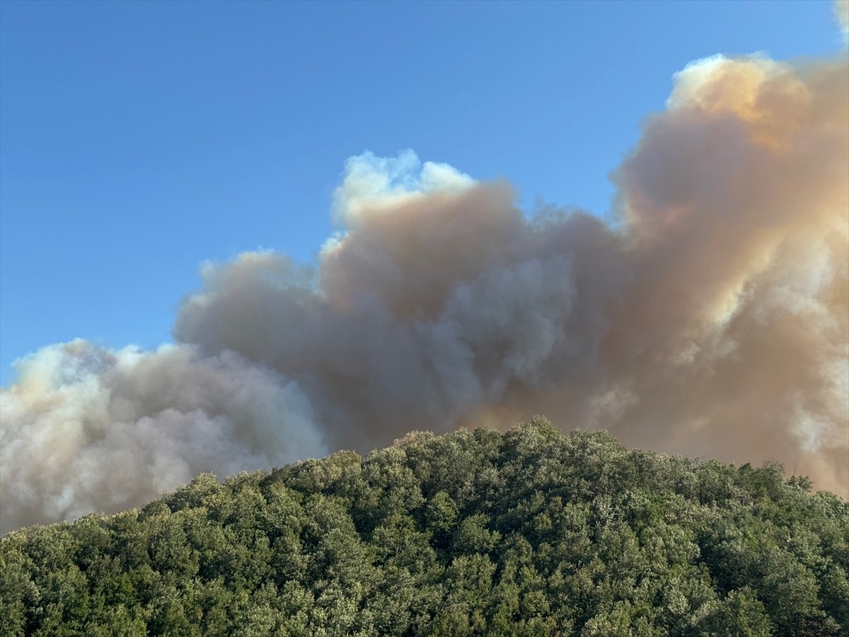 Kocaeli'nin Karamürsel ilçesinde ortaya çıkan orman yangınına havadan ve karadan müdahale...