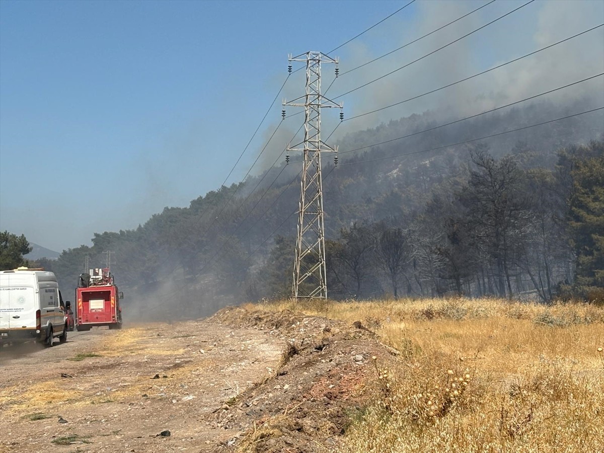  Manisa'nın Soma ilçesinde çıkan orman yangınına havadan ve karadan müdahale ediliyor.