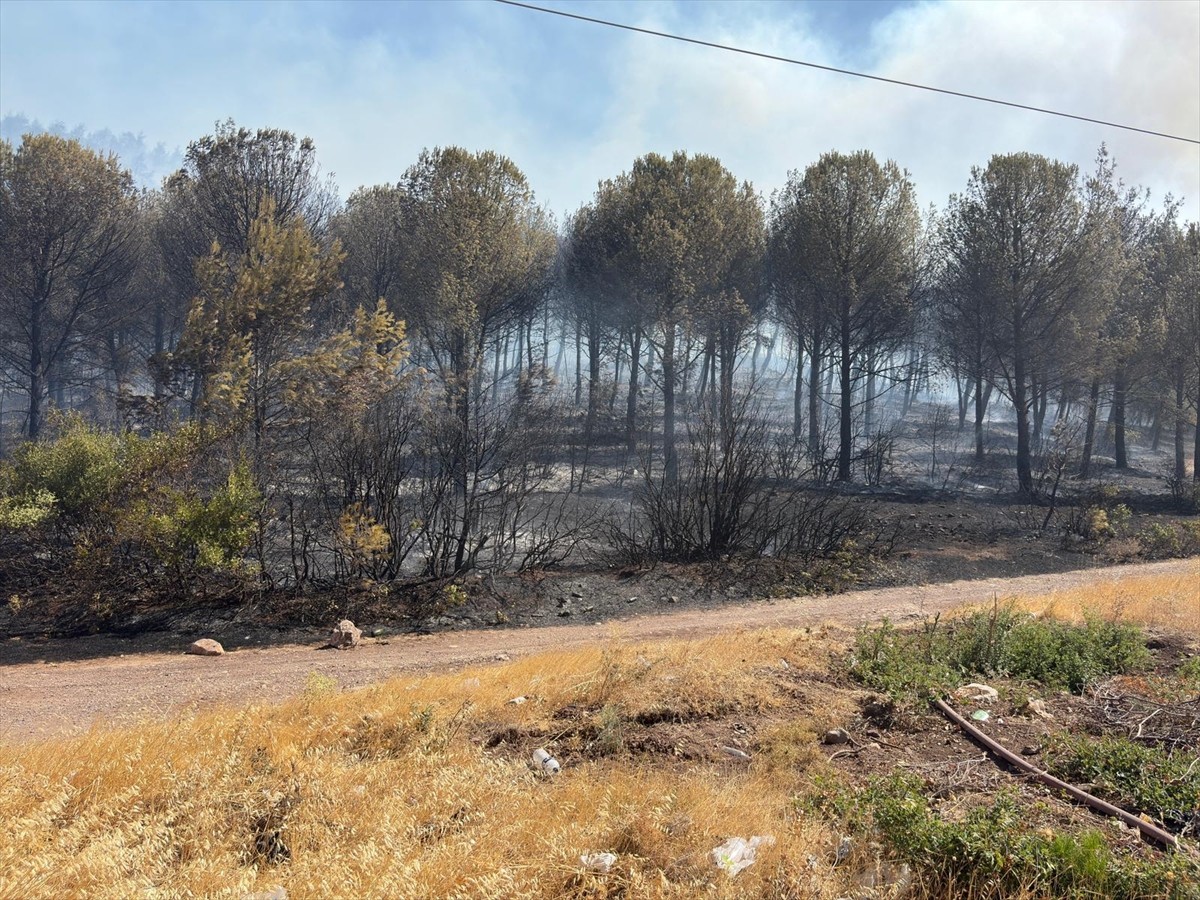  Manisa'nın Soma ilçesinde çıkan orman yangınına havadan ve karadan müdahale ediliyor.