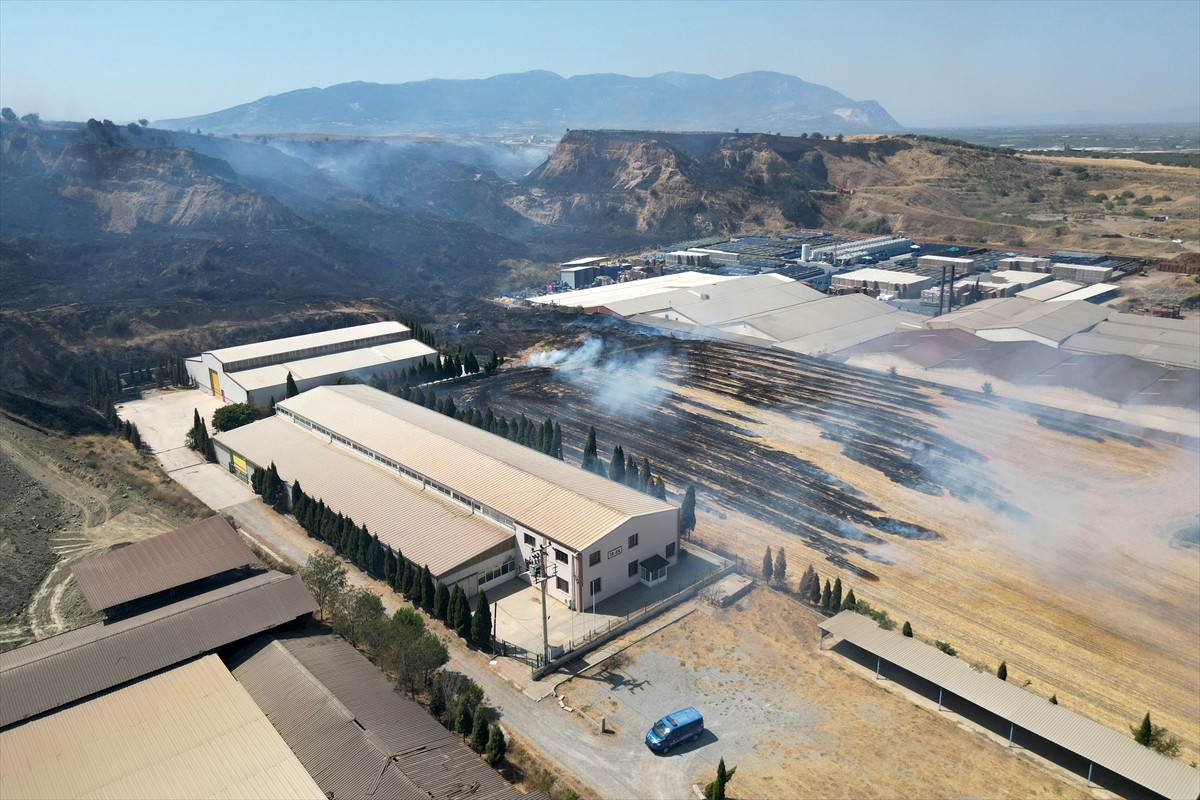 Manisa'nın Turgutlu ilçesinde otluk alanda başlayıp makilik ve tarım arazilerine sıçrayan yangın...