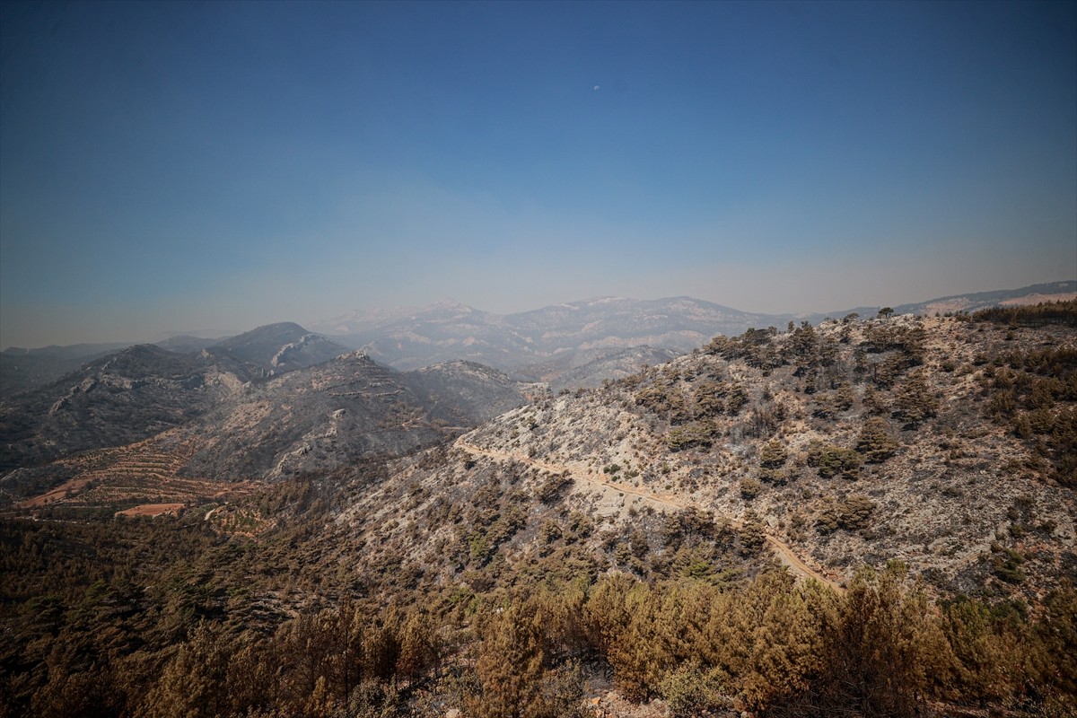 Mersin'in Silifke ilçesinde, iki gün önce çıkan orman yangını havadan ve karadan müdahaleyle büyük...
