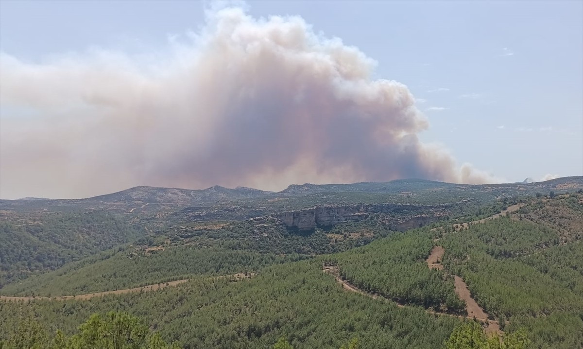 Mersin'in Silifke ilçesinde ormanlık alanda çıkan yangına havadan ve karadan müdahale...