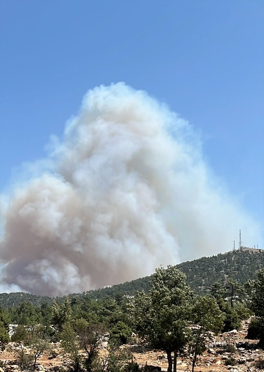 Mersin'in Silifke ilçesinde ormanlık alanda çıkan yangına havadan ve karadan müdahale...
