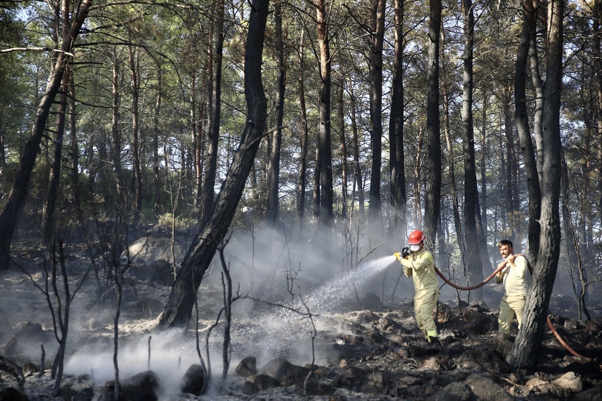 Muğla'nın Fethiye ilçesinde çıkan orman yangını havadan ve karadan müdahaleyle kontrol altına...