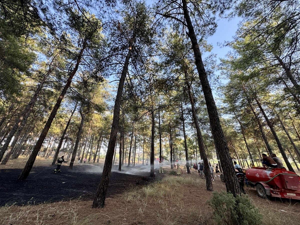 Muğla'nın Fethiye ilçesinde çıkan orman yangını söndürüldü. İhbar üzerine bölgeye itfaiye ve...