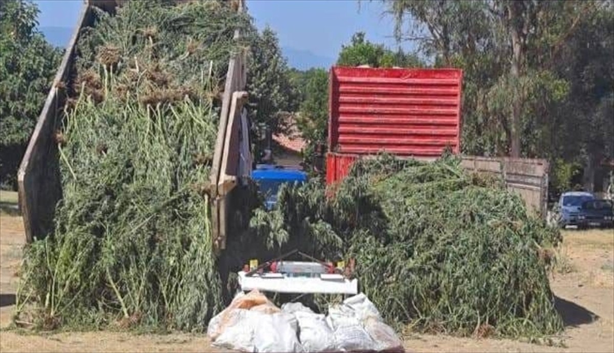 Muğla'nın Köyceğiz ilçesinde, uyuşturucu ve tarihi eser kaçakçılığına yönelik operasyonda 3...