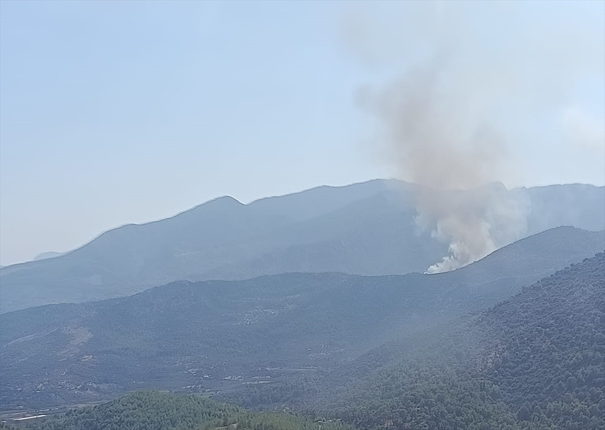 Muğla'nın Seydikemer ilçesinde ormanlık alanda yangın çıktı. 