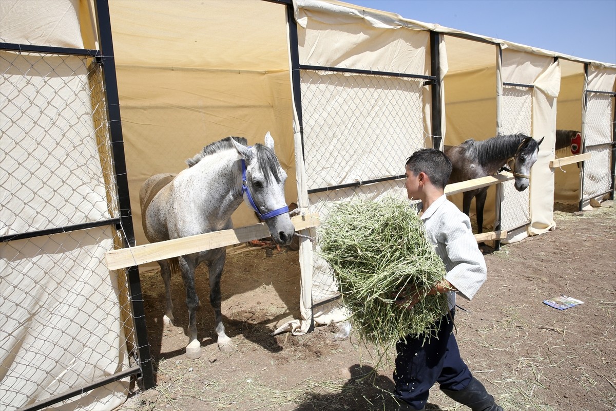 Muş'un Malazgirt ilçesinde düzenlenen atlı okçuluk yarışmasında mücadele eden en küçük sporcu olan...