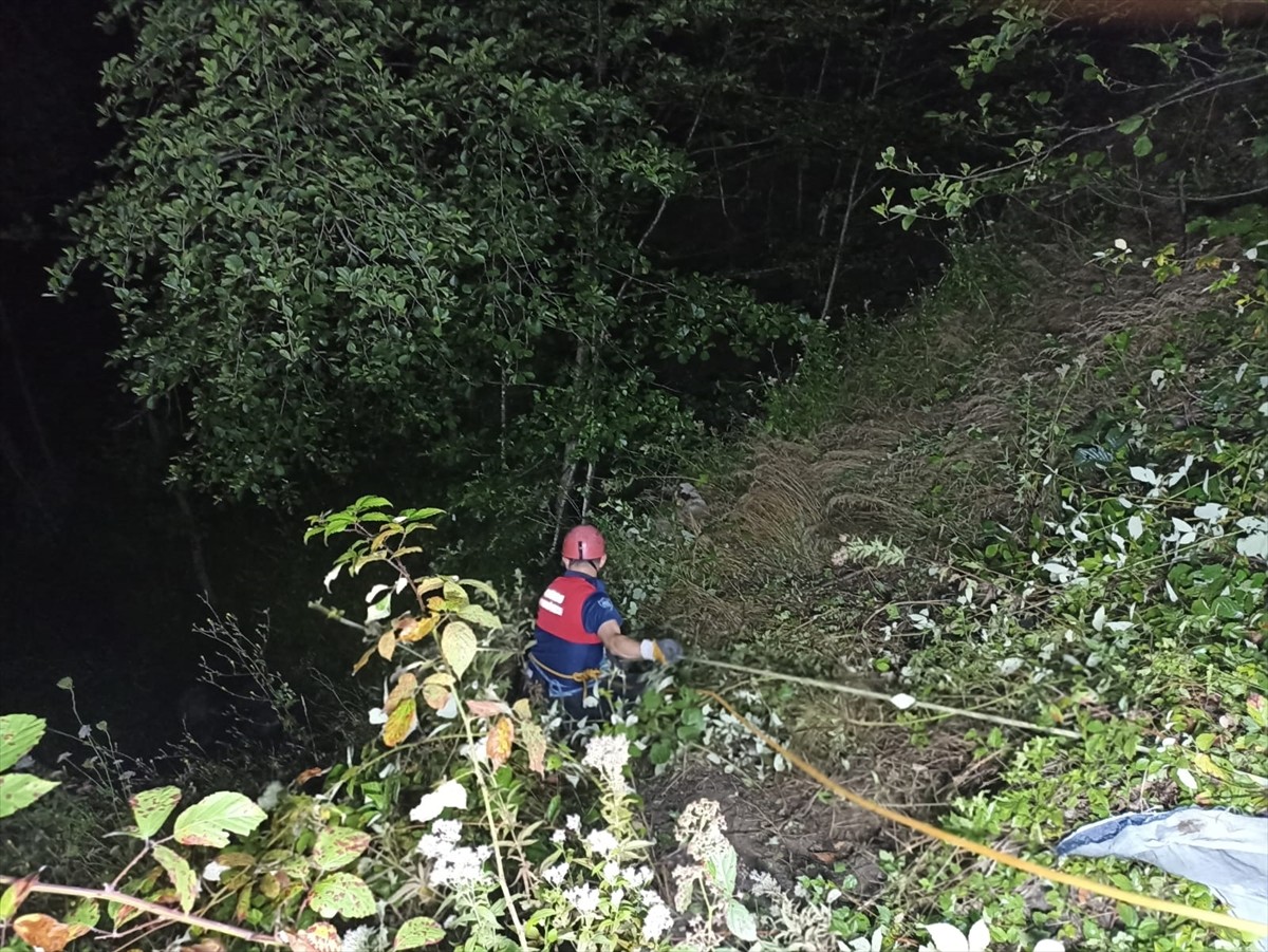 Ordu'nun Ünye ilçesinde tarım aracının uçuruma yuvarlanması sonucu sürücü öldü, babası yaralandı....