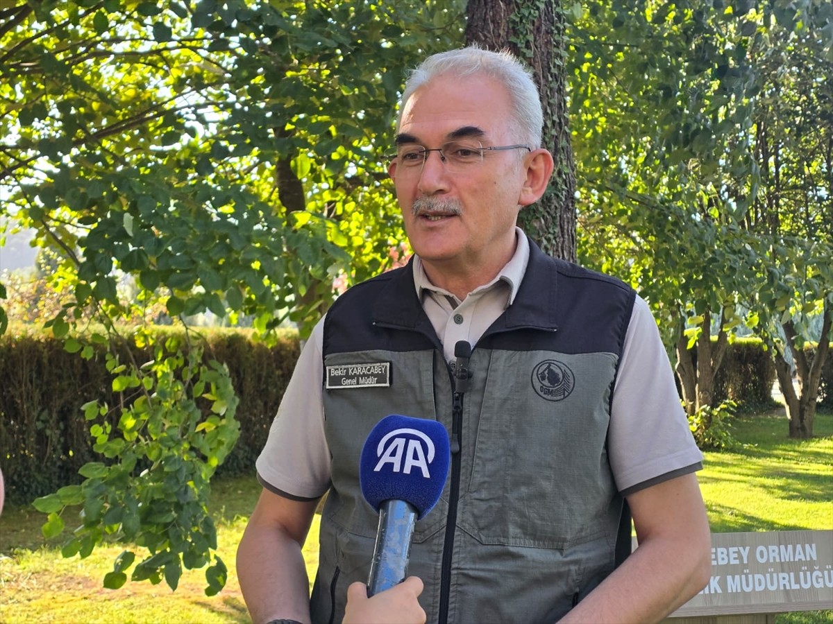 Orman Genel Müdürü Bekir Karacabey, orman yangınlarının büyük çoğunluğunun insan kaynaklı...