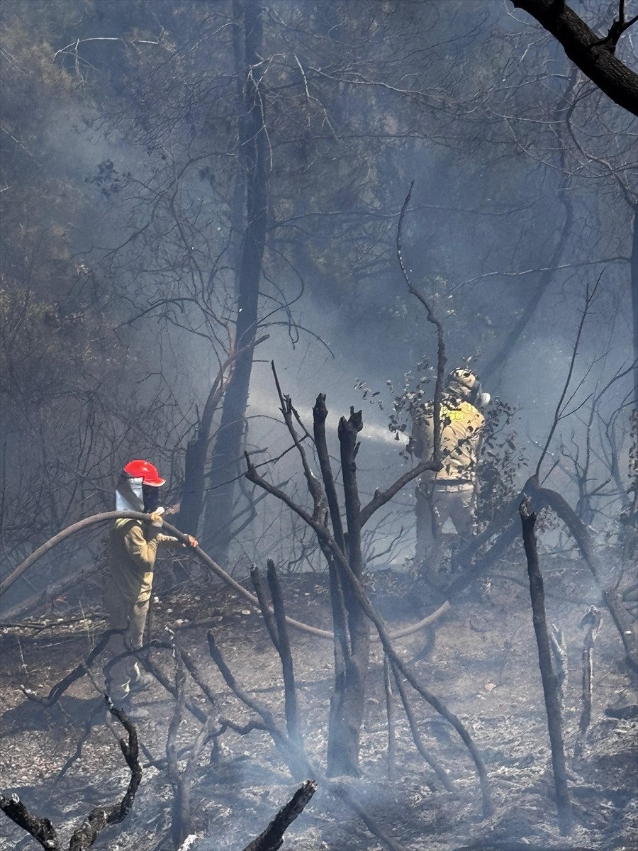 Osmaniye'nin Kadirli ilçesinde çıkan orman yangını, ekiplerin havadan ve karadan müdahalesiyle...