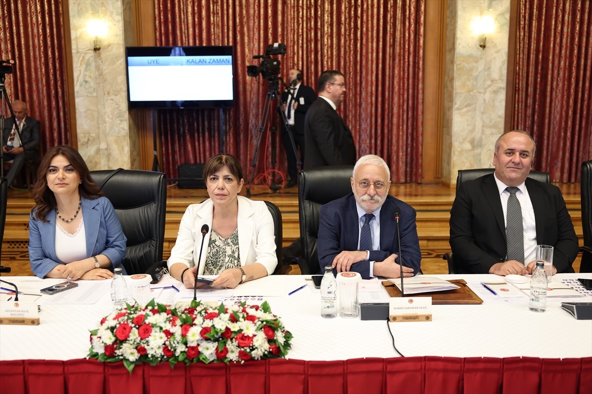 "Terörsüz Türkiye" hedefi doğrultusunda TBMM'de kurulan Milli Dayanışma, Kardeşlik ve Demokrasi...