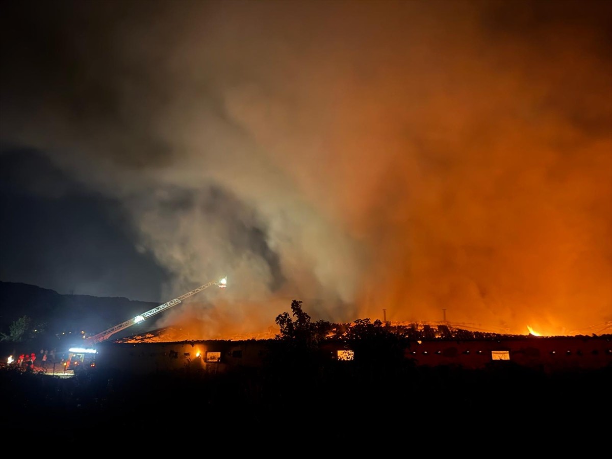 Sakarya'da boyahanede çıkan yangın söndürüldü.