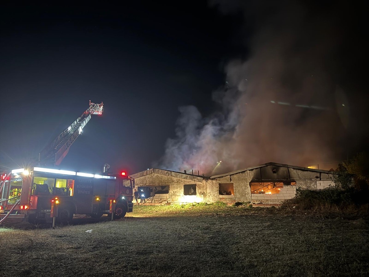 Sakarya'da boyahanede çıkan yangın söndürüldü.