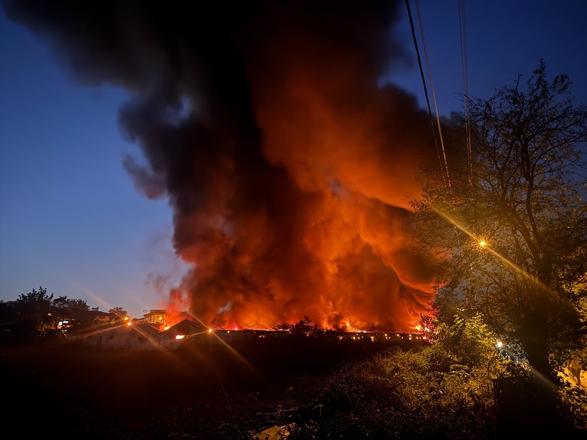 Sakarya'da boyahanede çıkan yangın söndürülmeye çalışılıyor.