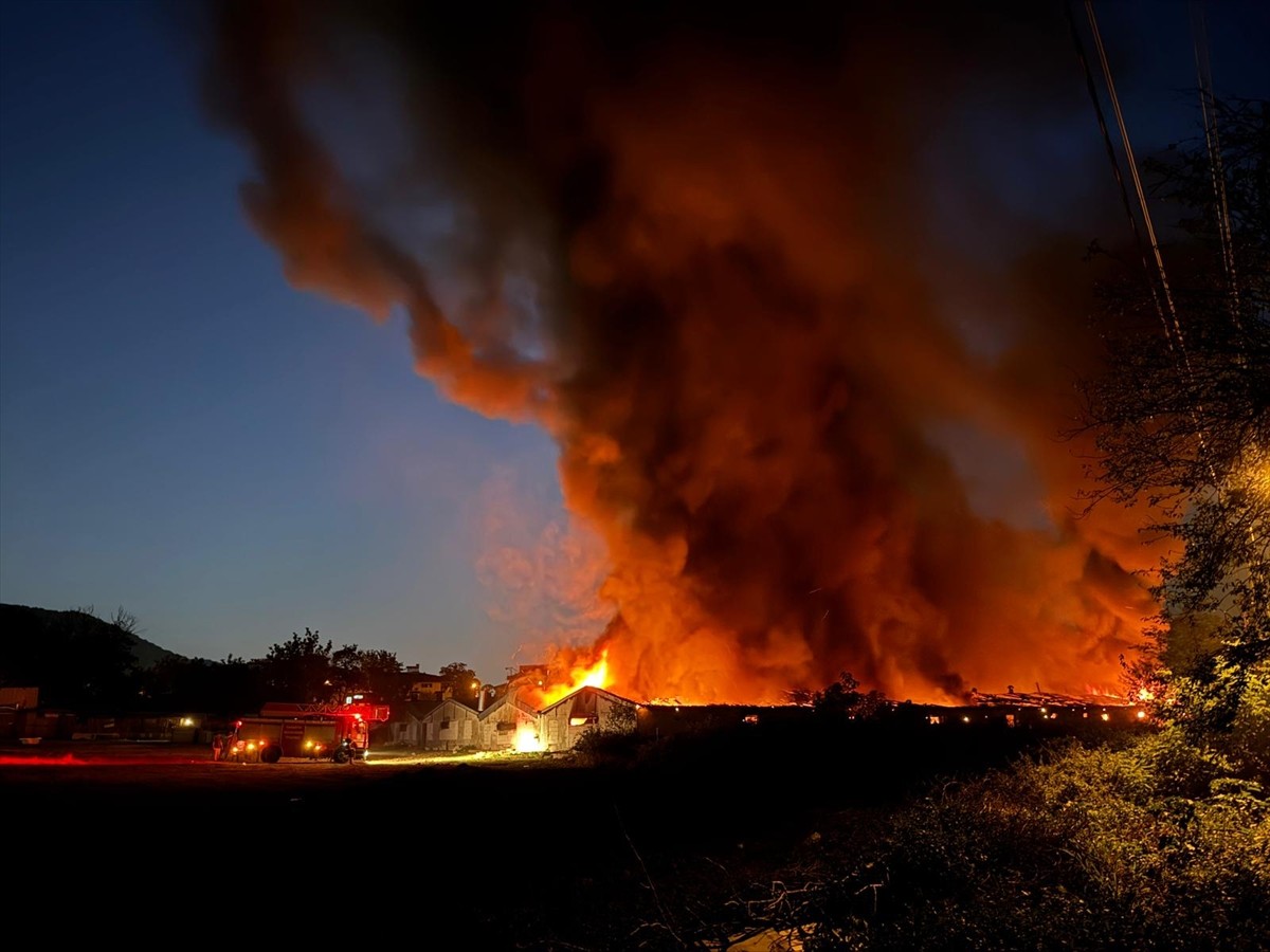 Sakarya'da boyahanede çıkan yangın söndürülmeye çalışılıyor.