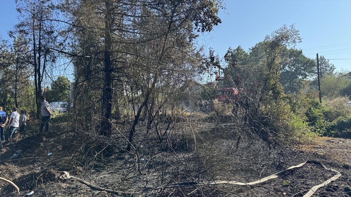 Sakarya'nın Arifiye ilçesinde yerleşim yeri yakınında çıkan orman yangını söndürüldü.