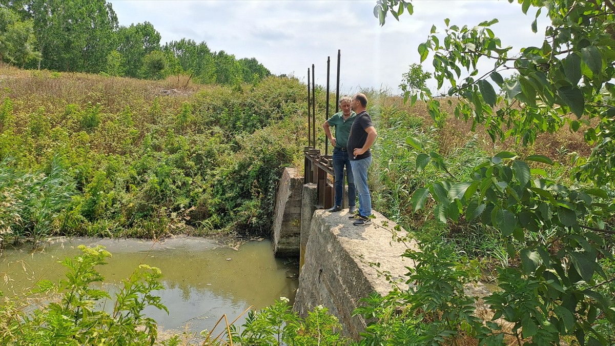 Sakarya Büyükşehir Belediyesi Karaman Atık Su Arıtma Tesisi'nde arıtılan su, açılan yeni hatla...