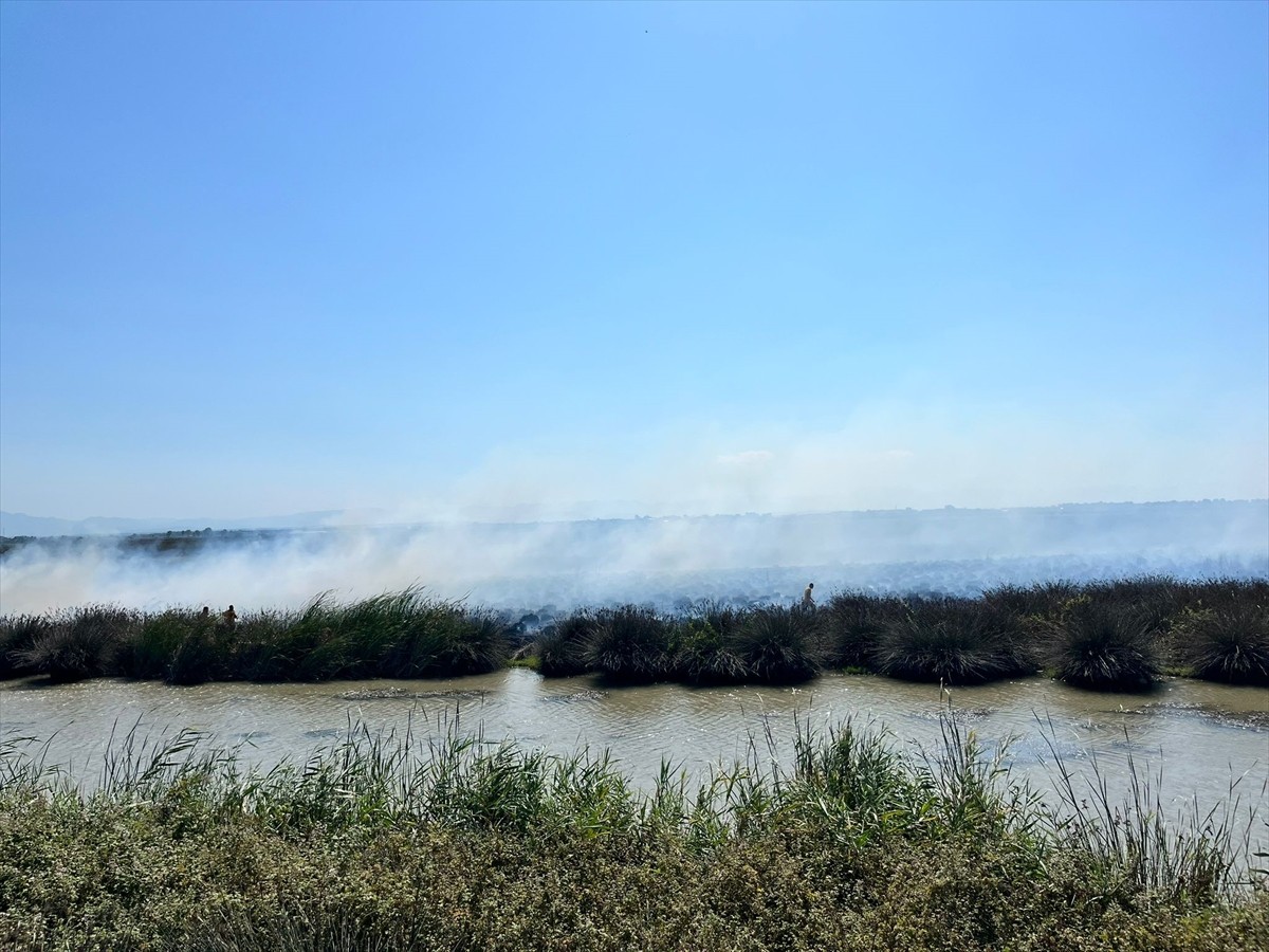 Samsun'un Bafra ilçesinde bulunan ve UNESCO Dünya Mirası Geçici Listesi'nde yer alan Kızılırmak...