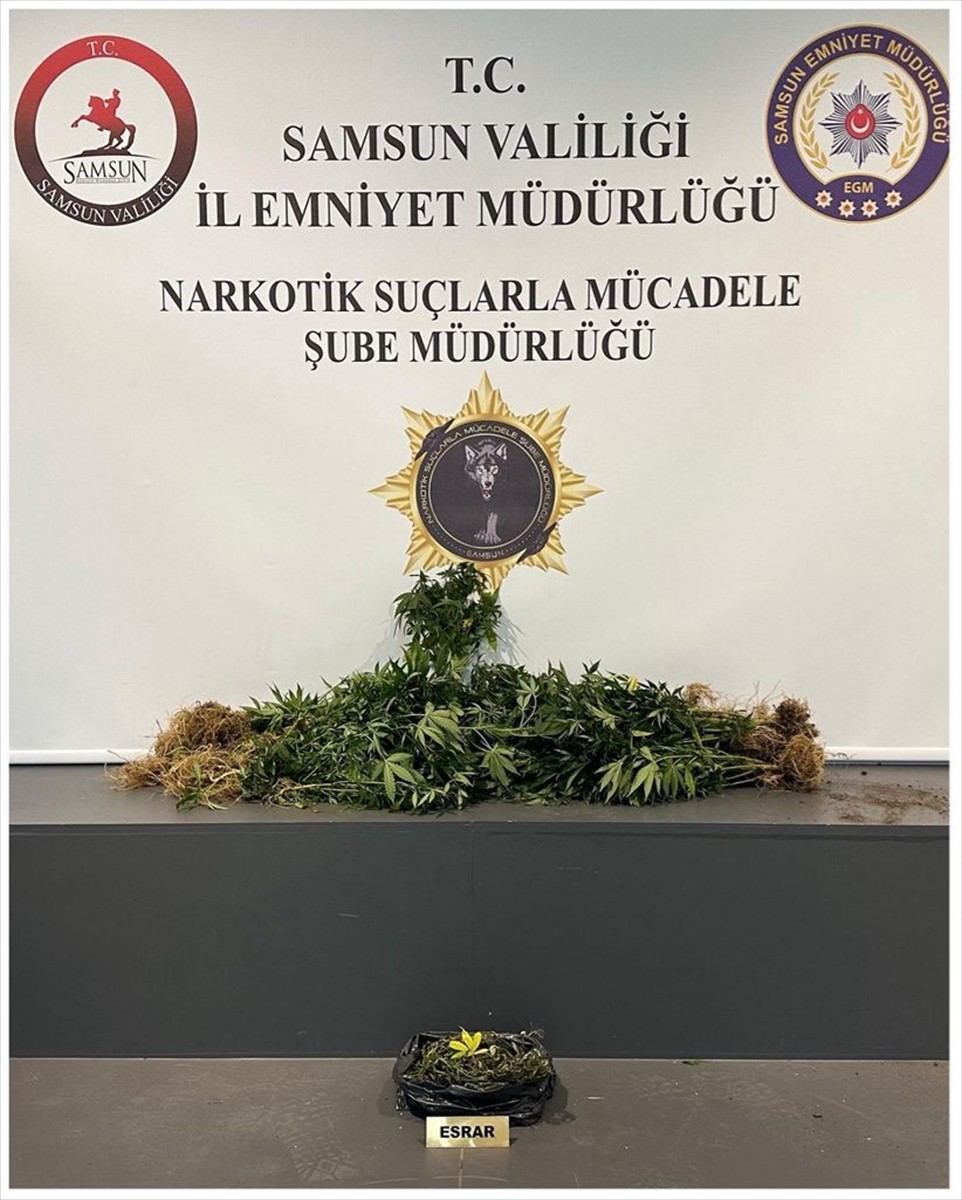 Samsun'un İlkadım ilçesinde düzenlenen uyuşturucu operasyonunda 4'ü firari hükümlü 10 kişi...
