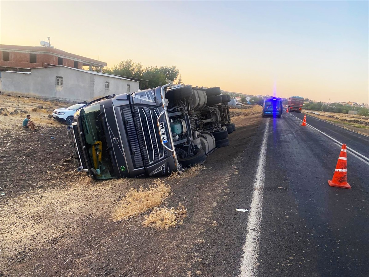 Şanlıurfa'nın Siverek ilçesinde hayvan yüklü tırın devrildiği kazada 2 kişi yaralandı, 5 büyükbaş...