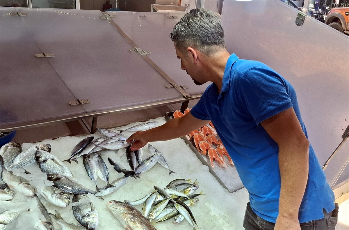 Sinop'ta balıkçıların yakaladığı palamutların tanesi 350 liradan tezgahlarda satışa...