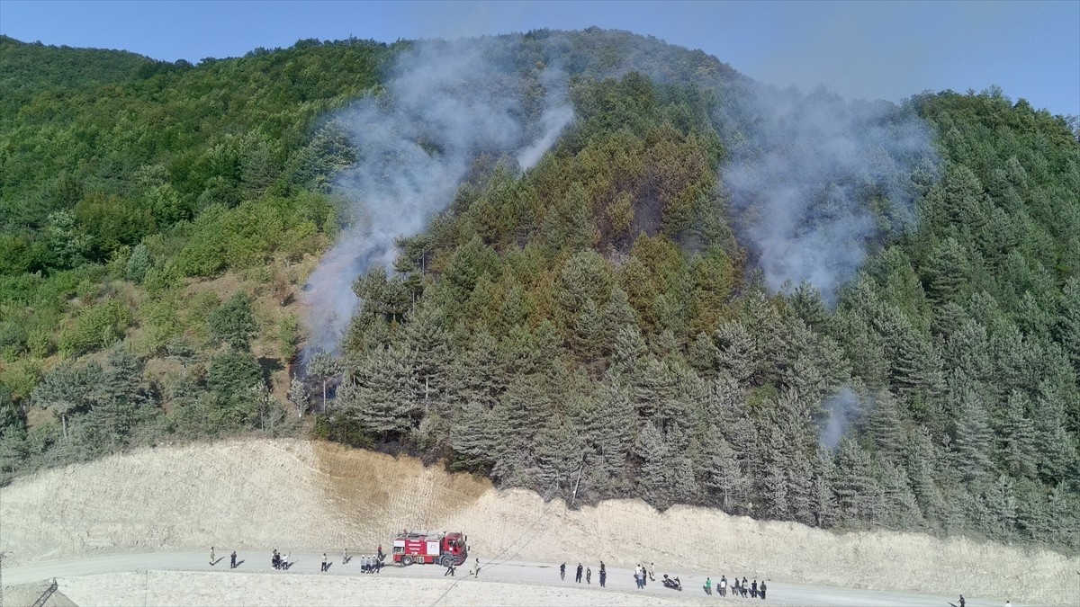 Sinop'un Türkeli ilçesinde, çıkan orman yangınına ekipler müdahale ediyor.
