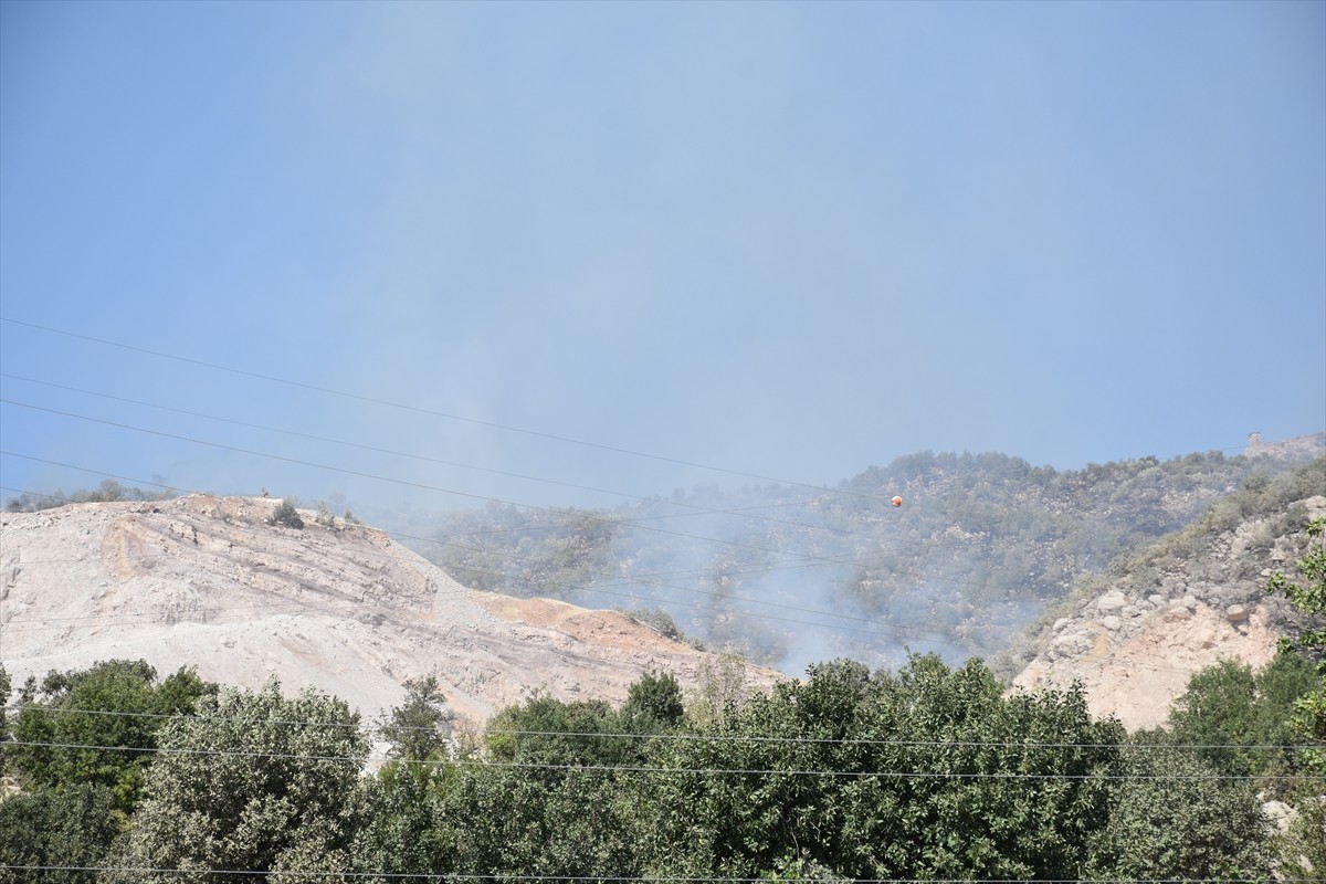 Şırnak'ın Balveren beldesinde çıkan örtü ve orman yangını havadan ve karadan yapılan müdahaleyle...
