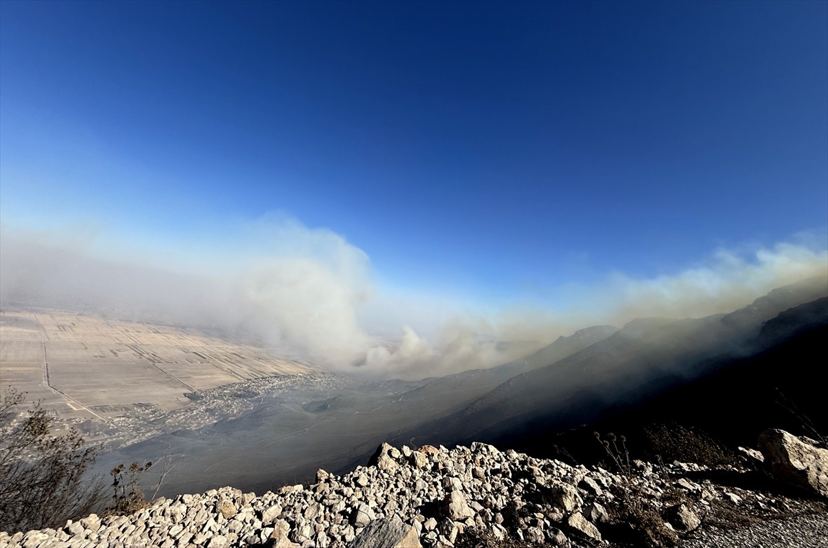 Suriye'de etkili olan aşırı sıcaklar, Hama, Humus, Tartus ve Lazkiye illerinde geniş çaplı orman...
