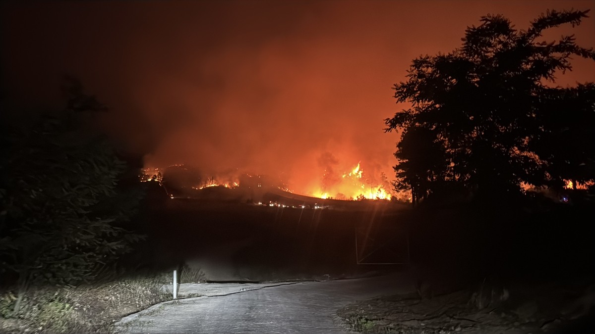Suriye'nin Lazkiye, Tartus ve Hama illerinde başlayan orman yangınları yayılmaya devam ediyor....