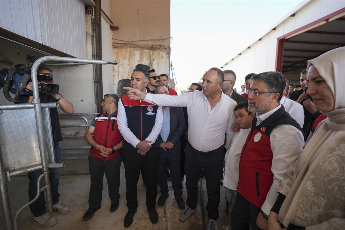 Tarım ve Orman Bakanı İbrahim Yumaklı,  Ankara'nın Polatlı ilçesindeki bir besi çiftliğine...