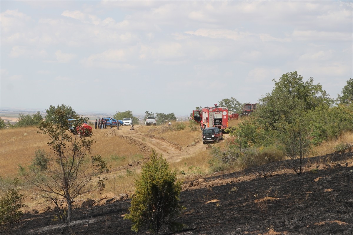 Tekirdağ'da anızda başlayıp ormanlık alana sıçrayan yangına müdahale ediliyor.