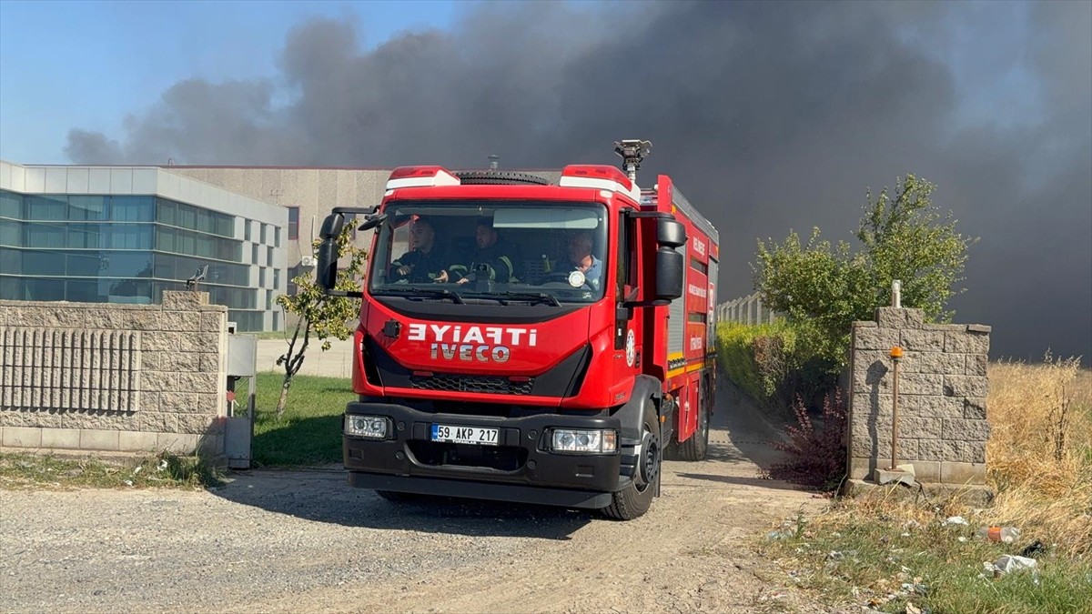 Tekirdağ'ın Çorlu ilçesinde tarım arazisinden tül fabrikasına sıçrayan yangına müdahale...