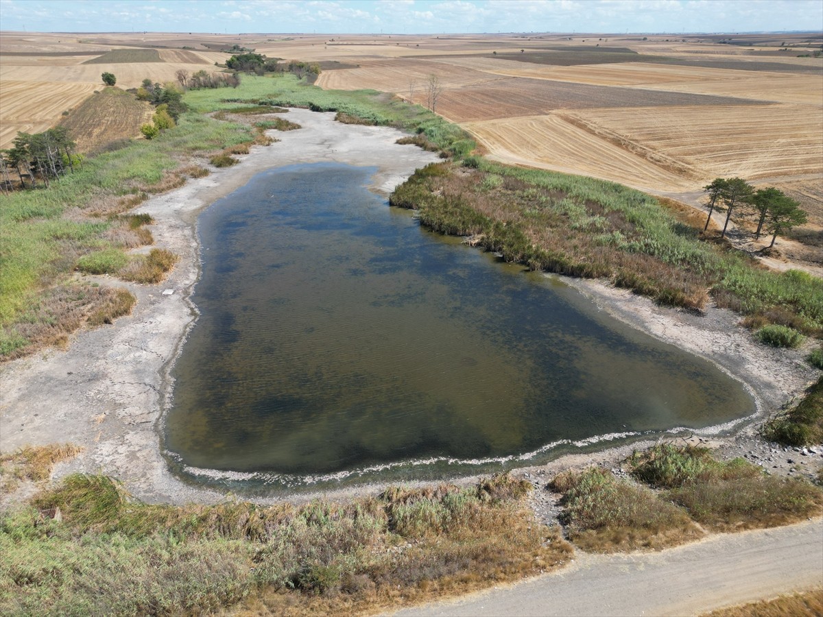 Tekirdağ'ın Muratlı ilçesindeki Kırkkepenekli Göleti'nde, su seviyesinin düşmesine bağlı oksijen...