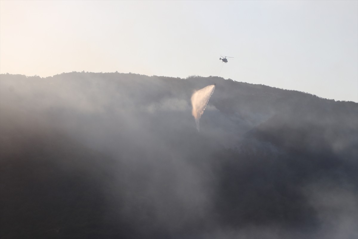 Tekirdağ'ın Şarköy ilçesinde rüzgarın etkisiyle yeniden alevlenerek ormanlık alana sıçrayan...