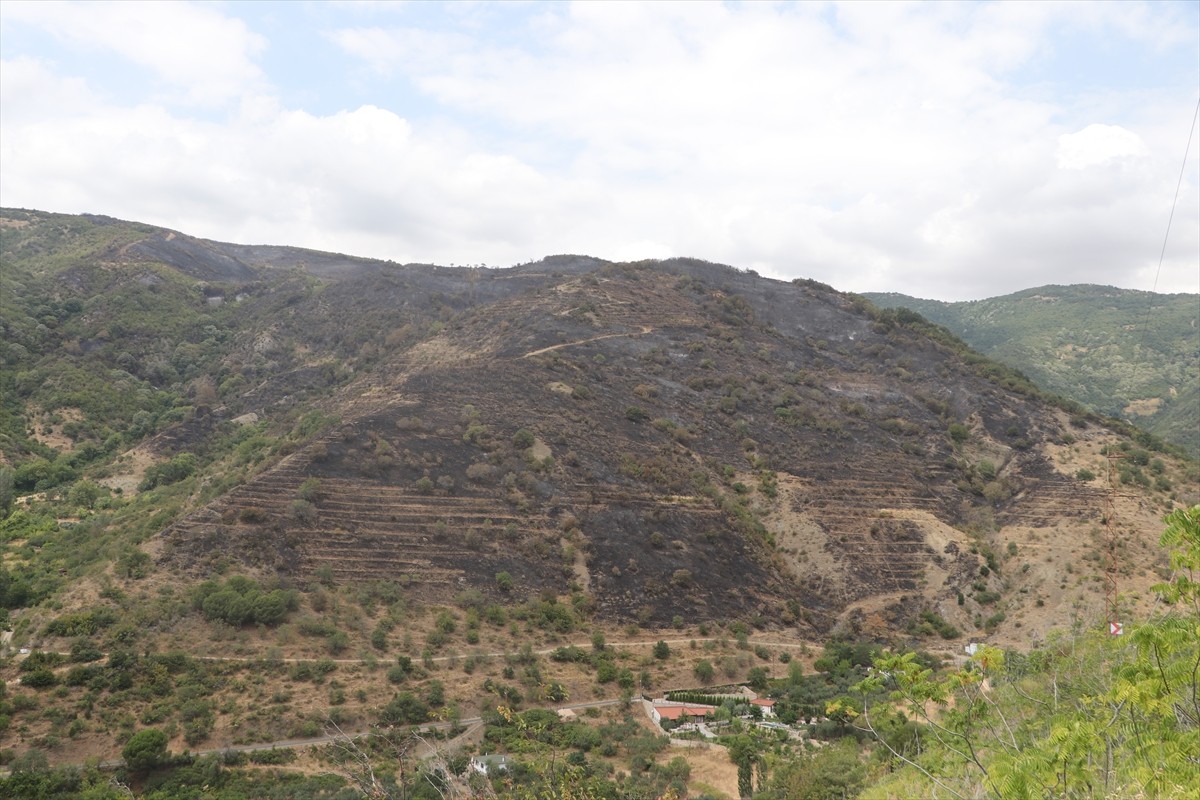 Tekirdağ'ın Şarköy ilçesinde rüzgarın etkisiyle yeniden alevlenerek ormanlık alana sıçrayan yangın...