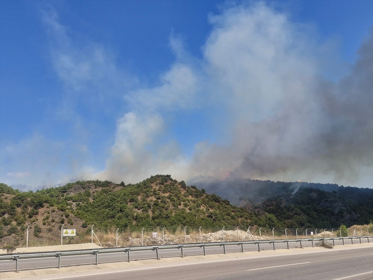 Tokat'ın Erbaa ilçesinde, ormanlık alanda çıkan yangına ekipler müdahale ediyor.